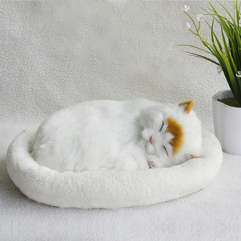 Decoration Creative Birthday Gifts Creative Gifts Crafts Cats That Breathe