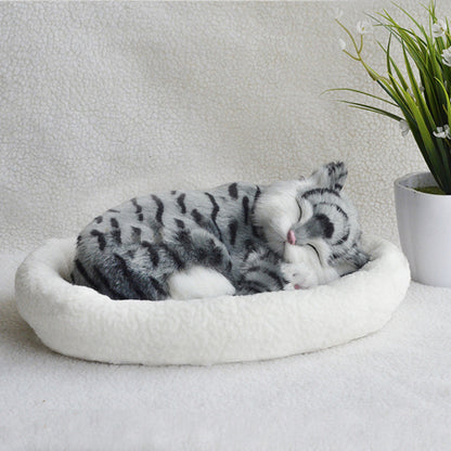 Decoration Creative Birthday Gifts Creative Gifts Crafts Cats That Breathe