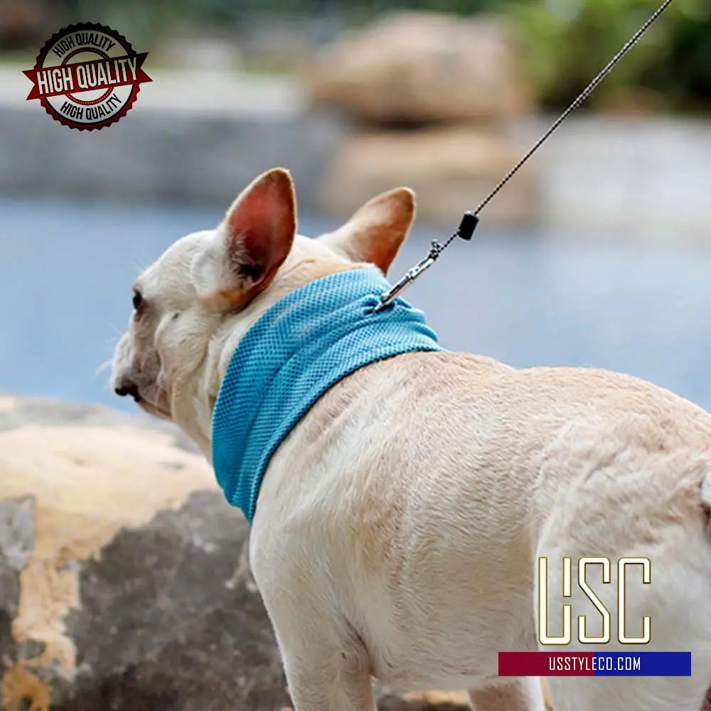 New Dog Scarf with Cooling technology fabric, lightweight and breathable, safe and non-irritating, enhanced cooling effect with water activation at US Style Co