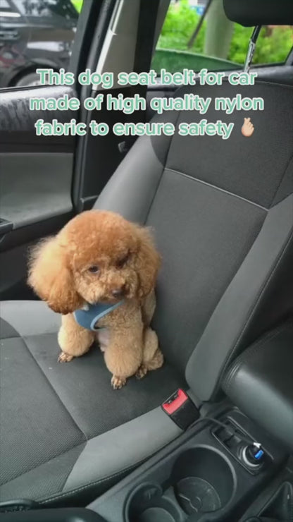 Safe & Secure Ride: Adjustable Dog Seatbelt with Reflective Rope